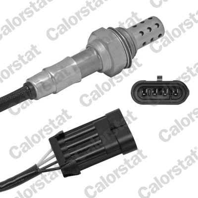 Oxygen Sensor